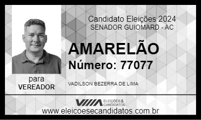 Candidato AMARELÃO 2024 - SENADOR GUIOMARD - Eleições