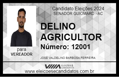 Candidato DELINO AGRICULTOR 2024 - SENADOR GUIOMARD - Eleições