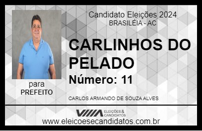 Candidato CARLINHOS DO PELADO 2024 - BRASILÉIA - Eleições