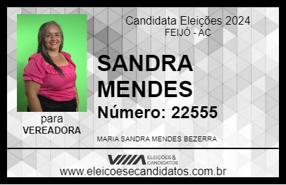 Candidato SANDRA MENDES 2024 - FEIJÓ - Eleições