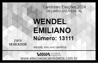 Candidato WENDEL EMILIANO 2024 - DELMIRO GOUVEIA - Eleições