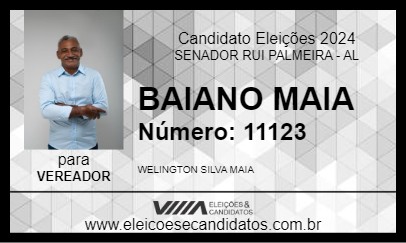 Candidato BAIANO MAIA 2024 - SENADOR RUI PALMEIRA - Eleições