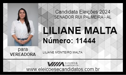 Candidato LILIANE MALTA 2024 - SENADOR RUI PALMEIRA - Eleições