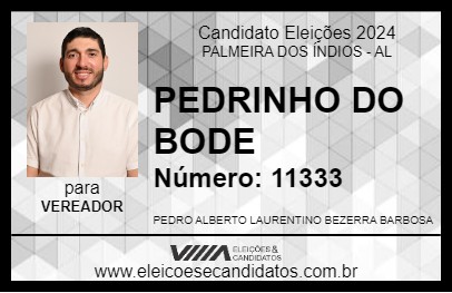 Candidato PEDRINHO DO BODE 2024 - PALMEIRA DOS ÍNDIOS - Eleições