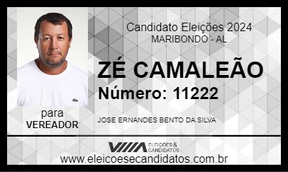 Candidato ZÉ CAMALEÃO 2024 - MARIBONDO - Eleições