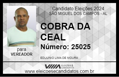 Candidato COBRA DO FUTVÔLEI 2024 - SÃO MIGUEL DOS CAMPOS - Eleições