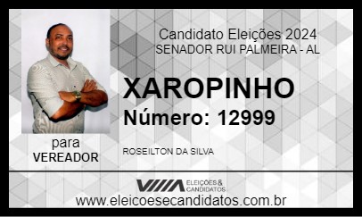 Candidato XAROPINHO 2024 - SENADOR RUI PALMEIRA - Eleições