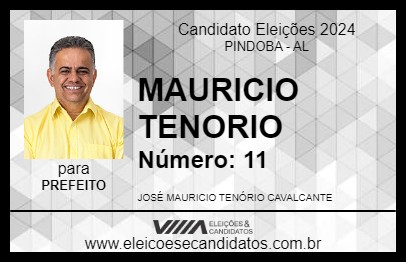 Candidato MAURICIO TENORIO 2024 - PINDOBA - Eleições