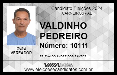 Candidato VALDINHO PEDREIRO 2024 - CARNEIROS - Eleições