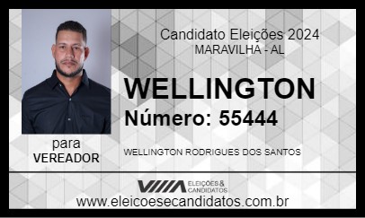 Candidato WELLINGTON 2024 - MARAVILHA - Eleições