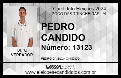 Candidato PEDRO CANDIDO 2024 - POÇO DAS TRINCHEIRAS - Eleições