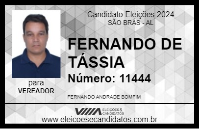 Candidato FERNANDO DE TÁSSIA 2024 - SÃO BRÁS - Eleições