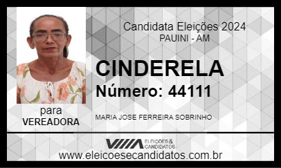 Candidato CINDERELA 2024 - PAUINI - Eleições