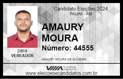 Candidato AMAURY MOURA 2024 - PAUINI - Eleições