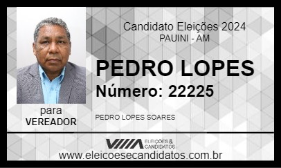 Candidato PEDRO LOPES 2024 - PAUINI - Eleições