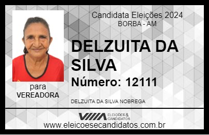 Candidato DELZUITA DA SILVA 2024 - BORBA - Eleições