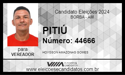 Candidato PITIÚ 2024 - BORBA - Eleições