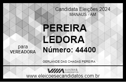 Candidato PEREIRA LEDORA 2024 - MANAUS - Eleições