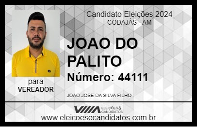 Candidato JOAO DO PALITO 2024 - CODAJÁS - Eleições