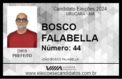 Candidato BOSCO FALABELLA 2024 - URUCARÁ - Eleições