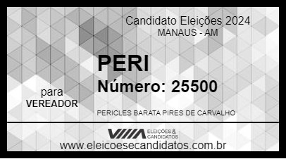 Candidato PERI 2024 - MANAUS - Eleições