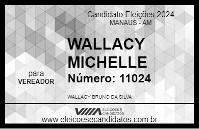 Candidato WALLACY MICHELLE 2024 - MANAUS - Eleições