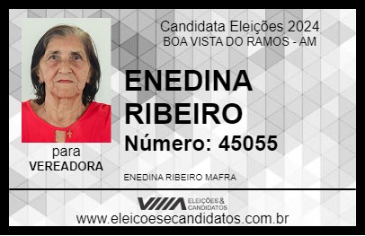 Candidato ENEDINA RIBEIRO 2024 - BOA VISTA DO RAMOS - Eleições