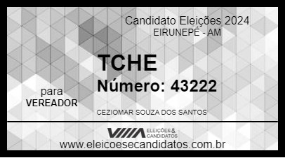 Candidato TCHE 2024 - EIRUNEPÉ - Eleições