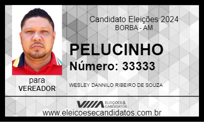 Candidato PELUCINHO 2024 - BORBA - Eleições