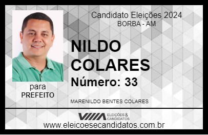 Candidato NILDO COLARES 2024 - BORBA - Eleições