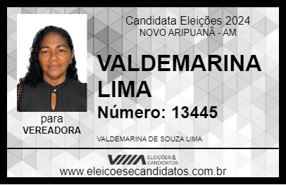 Candidato VALDEMARINA LIMA 2024 - NOVO ARIPUANÃ - Eleições