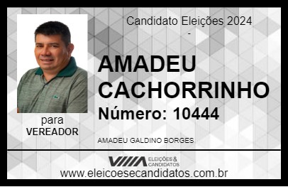 Candidato AMADEU CACHORRINHO 2024 - MANICORÉ - Eleições