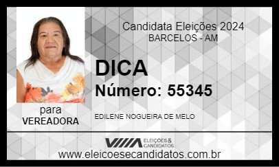 Candidato DICA 2024 - BARCELOS - Eleições