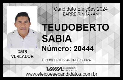 Candidato TEUDOBERTO SABIA 2024 - BARREIRINHA - Eleições