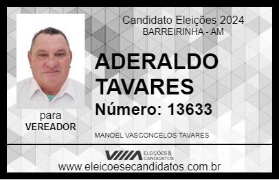 Candidato ADERALDO TAVARES 2024 - BARREIRINHA - Eleições