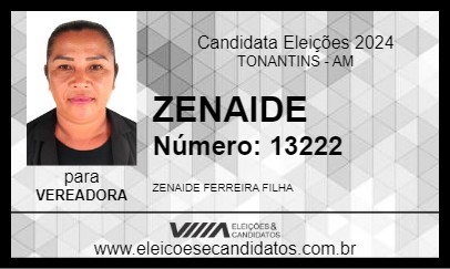 Candidato ZENAIDE 2024 - TONANTINS - Eleições