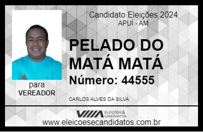 Candidato PELADO DO MATÁ MATÁ 2024 - APUÍ - Eleições