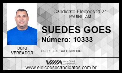 Candidato SUEDES GOES 2024 - PAUINI - Eleições