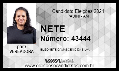 Candidato NETE 2024 - PAUINI - Eleições