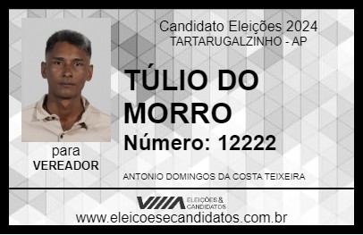 Candidato TÚLIO DO MORRO 2024 - TARTARUGALZINHO - Eleições