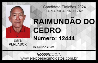 Candidato RAIMUNDÃO DO CEDRO 2024 - TARTARUGALZINHO - Eleições