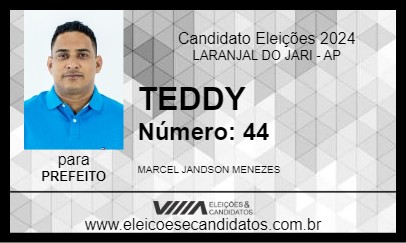 Candidato TEDDY 2024 - LARANJAL DO JARI - Eleições