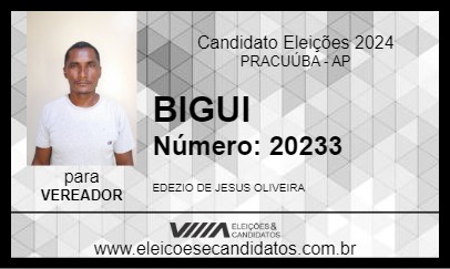 Candidato BIGUI 2024 - PRACUÚBA - Eleições