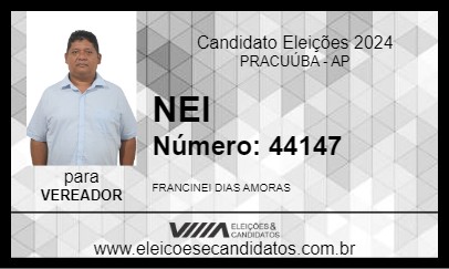 Candidato NEI 2024 - PRACUÚBA - Eleições