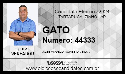 Candidato GATO 2024 - TARTARUGALZINHO - Eleições