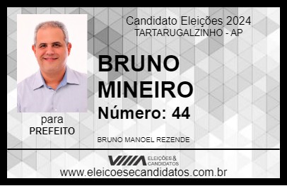 Candidato BRUNO MINEIRO 2024 - TARTARUGALZINHO - Eleições