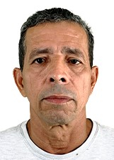 THEO FARIAS 2024 - PAU BRASIL