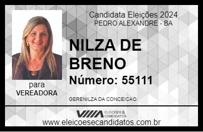 Candidato NILZA DE BRENO 2024 - PEDRO ALEXANDRE - Eleições