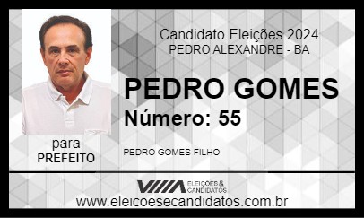 Candidato PEDRO GOMES 2024 - PEDRO ALEXANDRE - Eleições