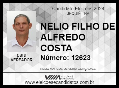 Candidato NELIO FILHO DE ALFREDO COSTA 2024 - JEQUIÉ - Eleições